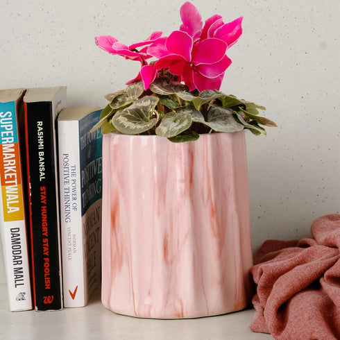 Pink Frontier Ceramic Planter - The Earth Store - Planter
